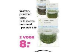 waterplanten