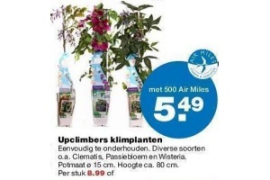 upclimbers klimplanten