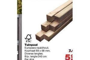 tuinpaal europees naaldhout