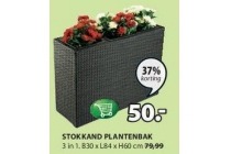 stokkand plantenbak