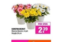 kunstmargriet