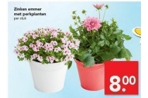 zinken emmer met perkplanten