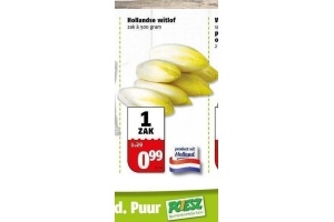 hollandse witlof