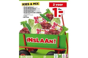 spitskool bleekselderij komkommer rode uien of geschoonde radijsjes