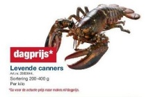 levende canners