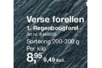 regenboogforel