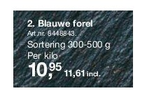 blauwe forel