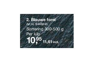 blauwe forel