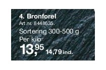bronforel