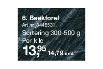 beekforel