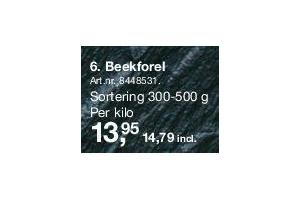 beekforel