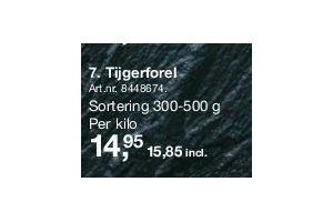 tijgerforel
