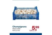 champignons