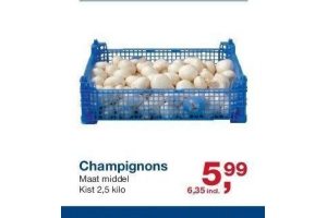 champignons
