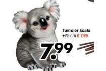 tuindier koala