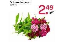 duizendschoon