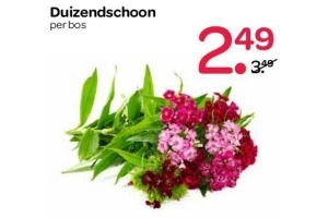 duizendschoon