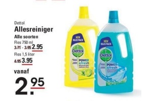 dettol allesreiniger