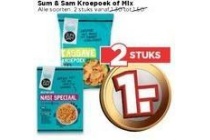 sum en sam kroepoek of mix