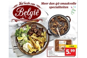 vlaamse stoverij