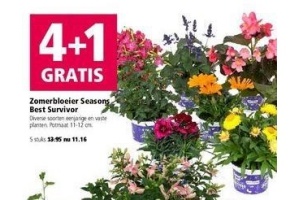 diverse soorten eenjarige en vaste planten