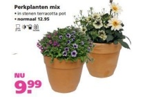 perkplanten mix