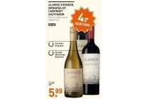 alamos wijnen
