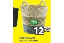 steiner mand