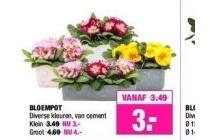 bloempot