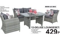 bois le duc aluminium loungeset 12 delig