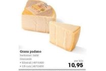 grana padano