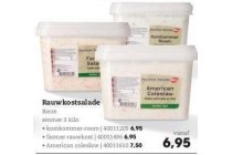 rauwkostsalade