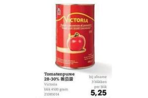 tomatenpuree 28 30