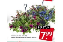 hanging basket