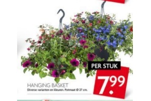 hanging basket