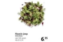 horecras slamix joep