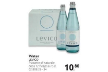 water levico