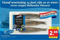 hollandse nieuwe haring