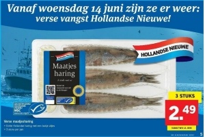 hollandse nieuwe haring