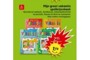 mijn groot vakantie spelletjesboek