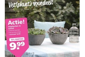 vetplanten in schaal