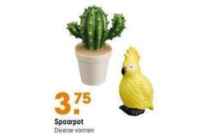 spaarpot