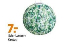 solar lantaarn cactus