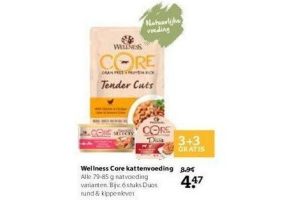 wellness core kattenvoeding