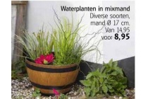 waterplanten in mixmand