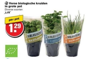 verse biologische kruiden in grote pot