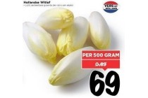 hollandse witlof