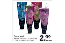 clematis mix nu eur2 99 per stuk