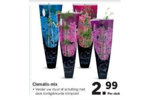 clematis mix nu eur2 99 per stuk