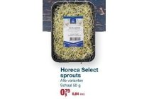 horeca select sprouts